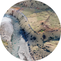 smarterra_4